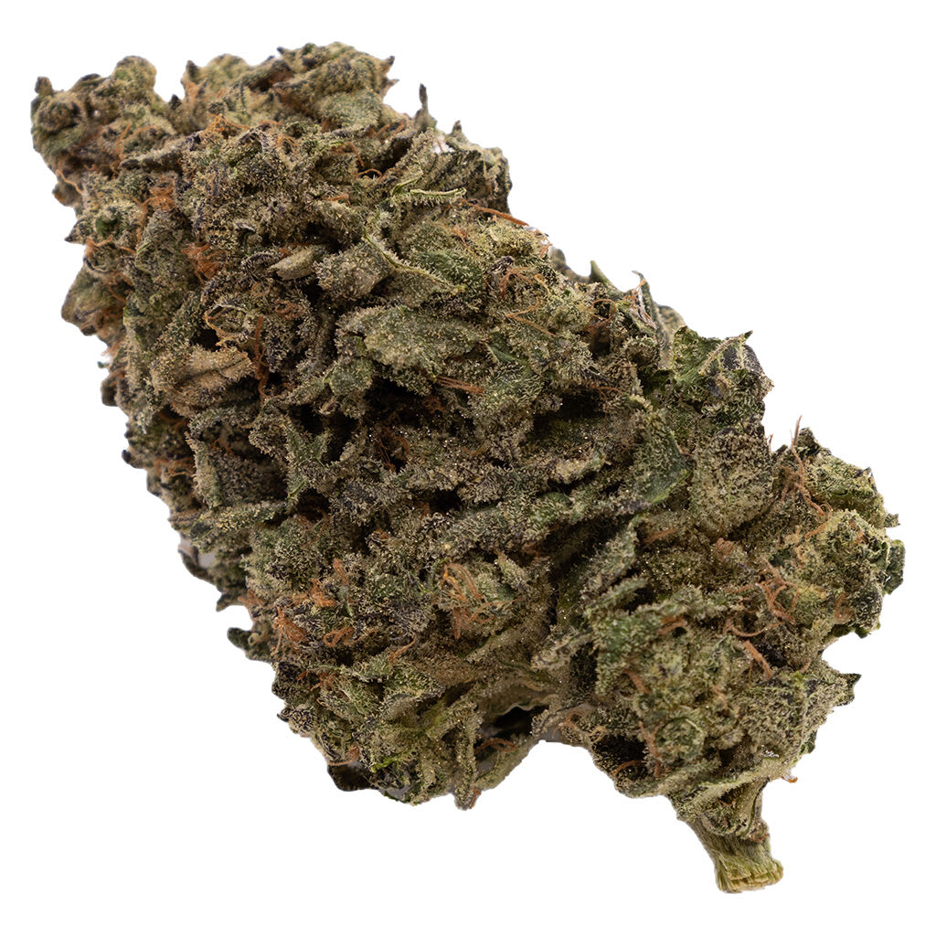 Jungle Fumes 3.5g Dried Flower (3.8% Terps)